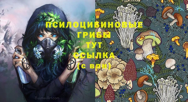 шишки Богданович
