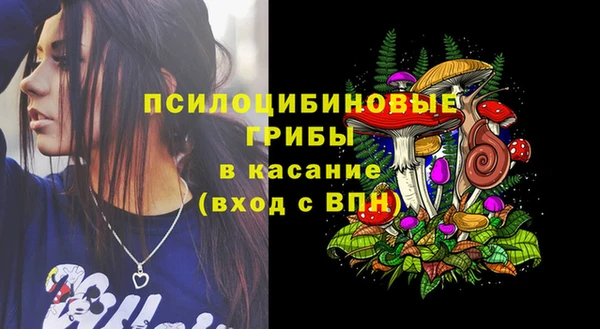 шишки Богданович