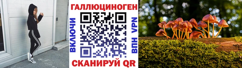 Псилоцибиновые грибы прущие грибы Бутурлиновка